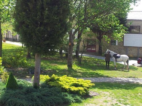 Alda Palas De Rei Zewnętrze zdjęcie